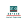 北京国泰兴国投资控股有限公司