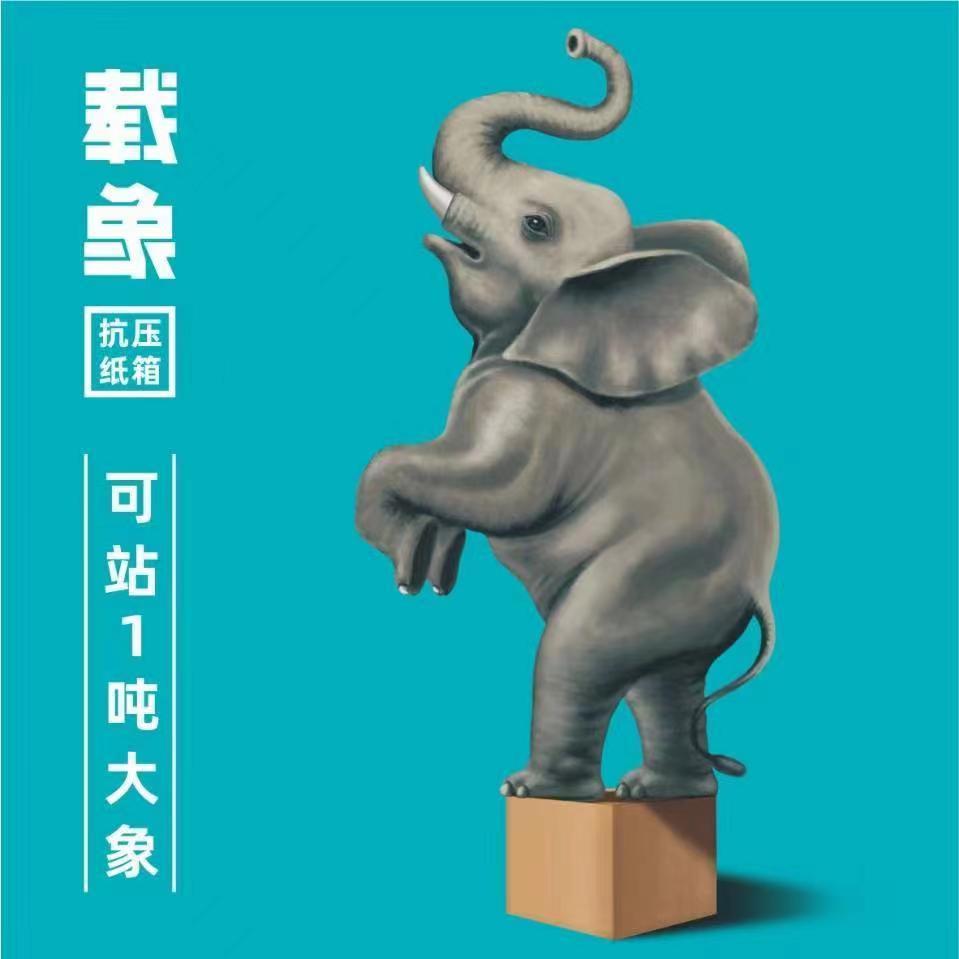 广西载象包装有限公司